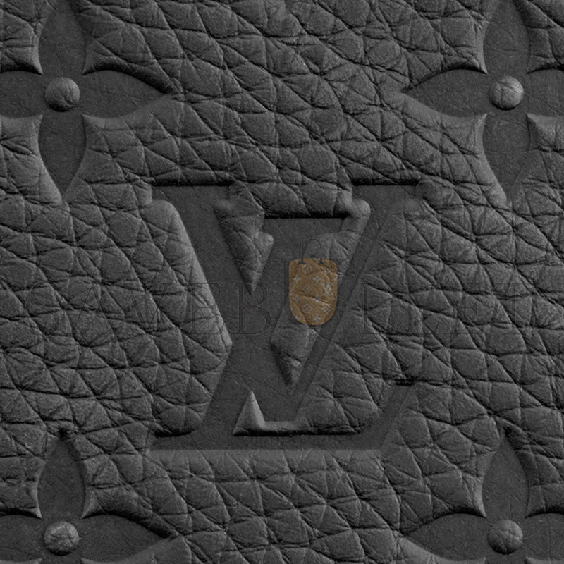 LOUIS VUITTON BRAZZA WALLET M69038 (19*10*2cm)